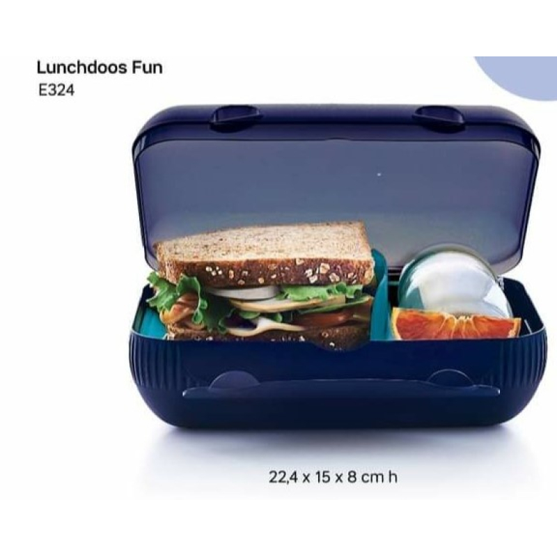 Tupperware lunchdoos fun